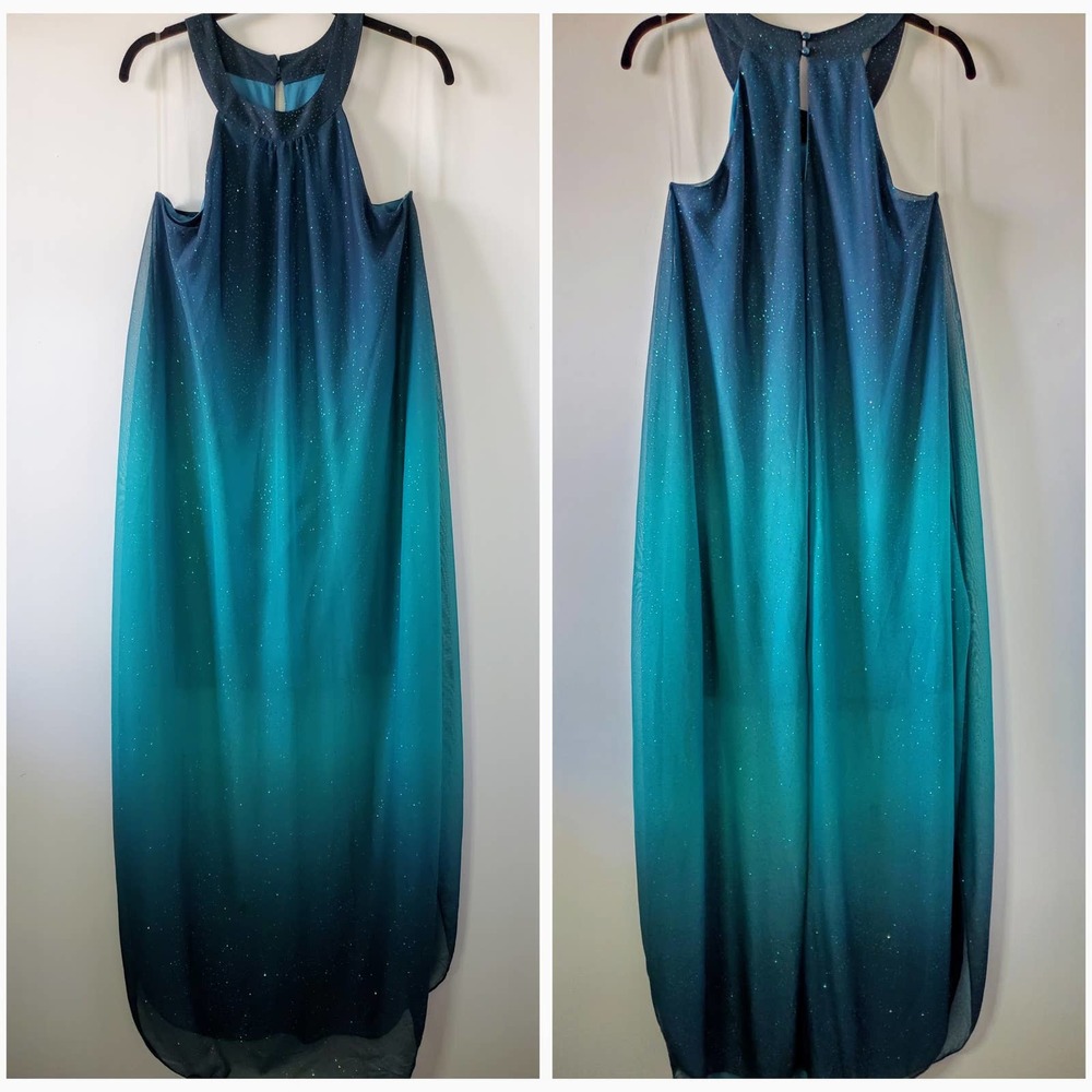 Venus XL Sparkle Ombre Shift Dress